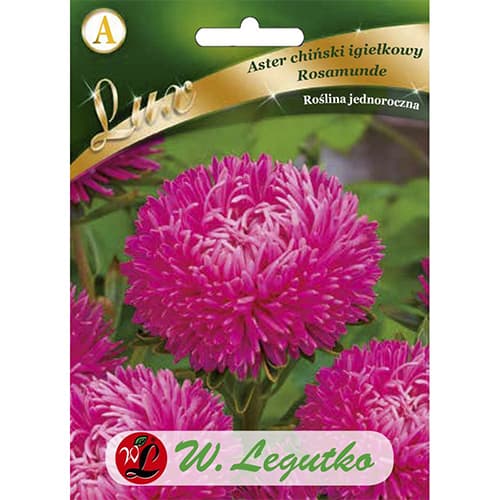 1 szt, Aster Rosamunde rose - Samen: Ilość w opakowaniu: 0.5 g