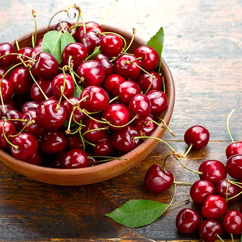 1 Pflanze(n), Süßkirsche Sabrina - Setzlinge: Ilość w opakowaniu: 1 Pflanze(n)