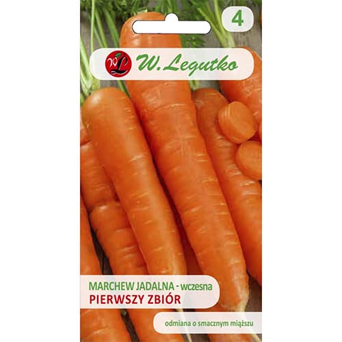 1 szt, Möhre Erste Sammlung - Samen: Ilość w opakowaniu: 5 g