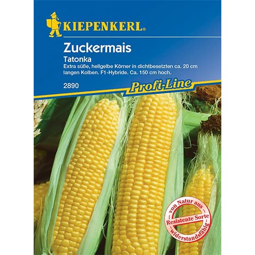 1 szt, Zuckermais Tatonka - Samen: Ilość w opakowaniu: 1 Stück