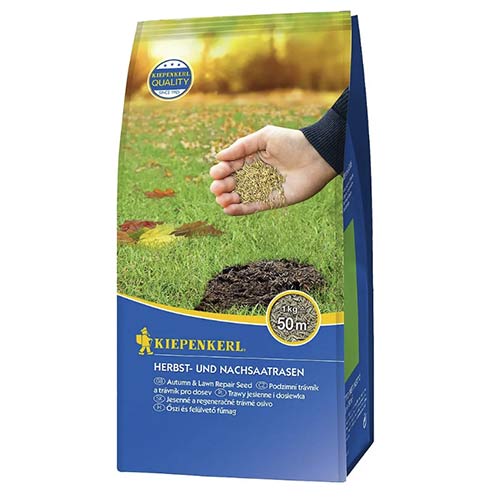 1 szt, Herbst- und Nachsaatrasen (1kg) - Samen: Ilość w opakowaniu: 1 Stück