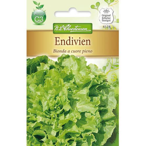 1 szt, Endivie Bionda a cuore pieno - Samen: Ilość w opakowaniu: 1 Stück