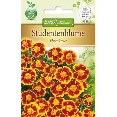 1 szt, Studentenblume Ehrenkreuz - Samen: Ilość w opakowaniu: 1 Stück