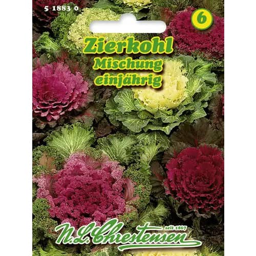 1 szt, Zierkohl Mischung - Samen: Ilość w opakowaniu: 1 Stück