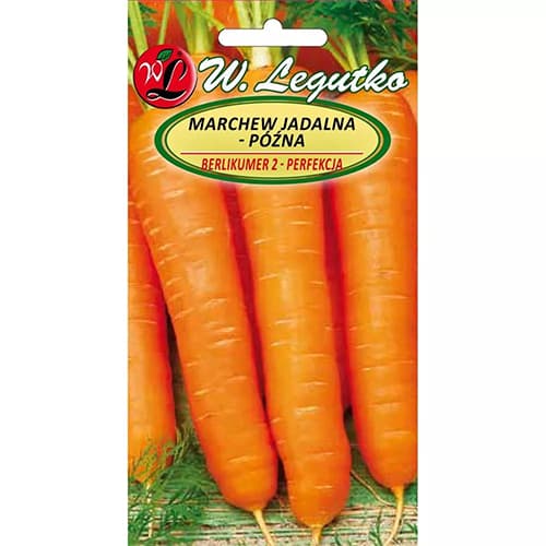 1 szt, Möhre Berlikumer 2 - Samen: Ilość w opakowaniu: 5 g