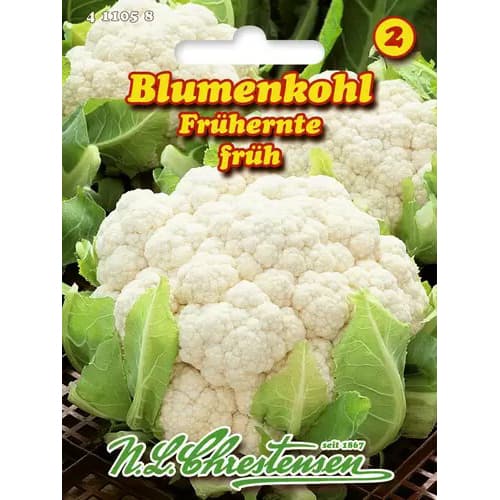 1 szt, Blumenkohl Frühernte - Samen: Ilość w opakowaniu: 1 Stück