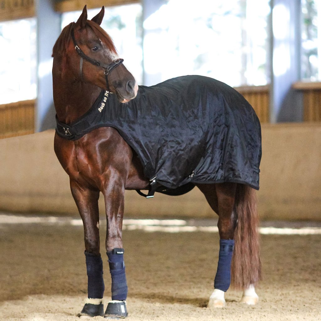 Back on Track Back on Track derka do karuzeli