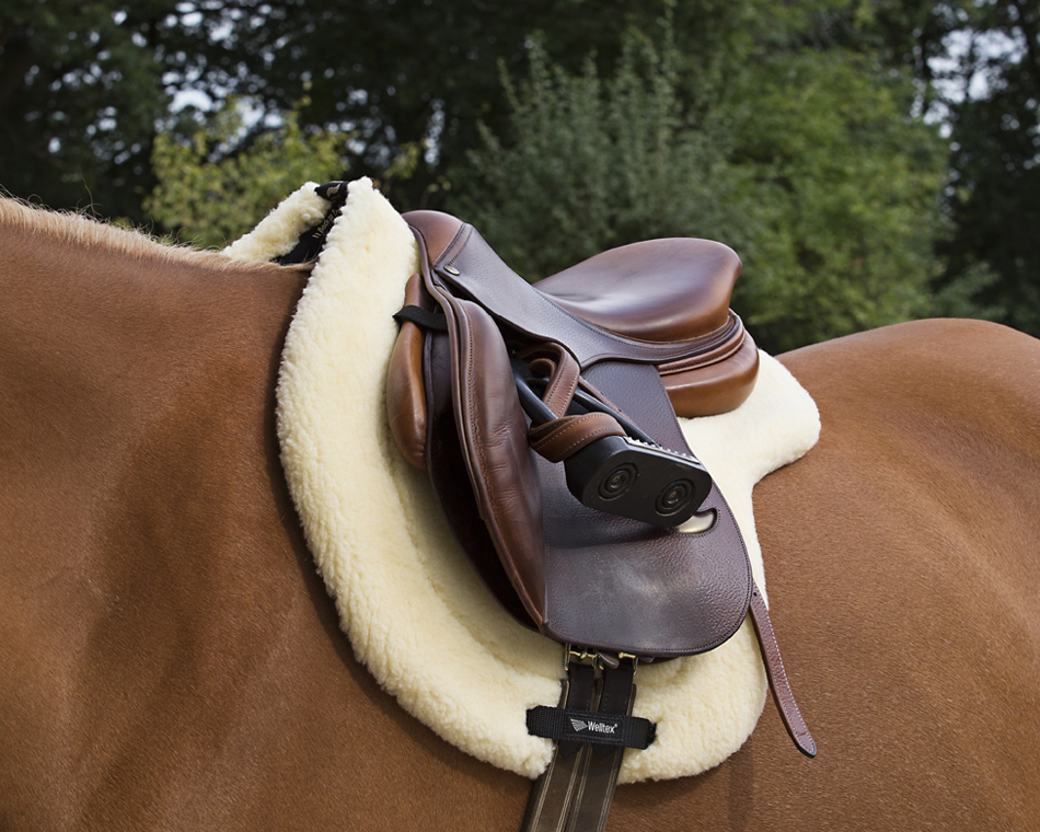 Back on Track Back on Track czaprak futrzany Teddy