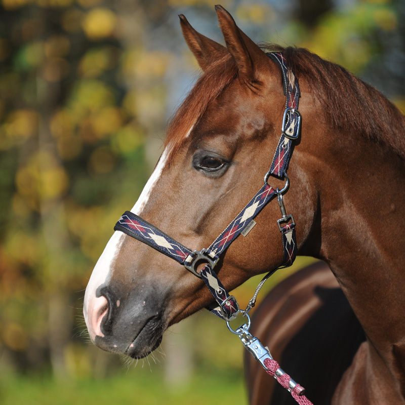 Kavalkade Kavalkade kantar z podszyciem Romby 24h