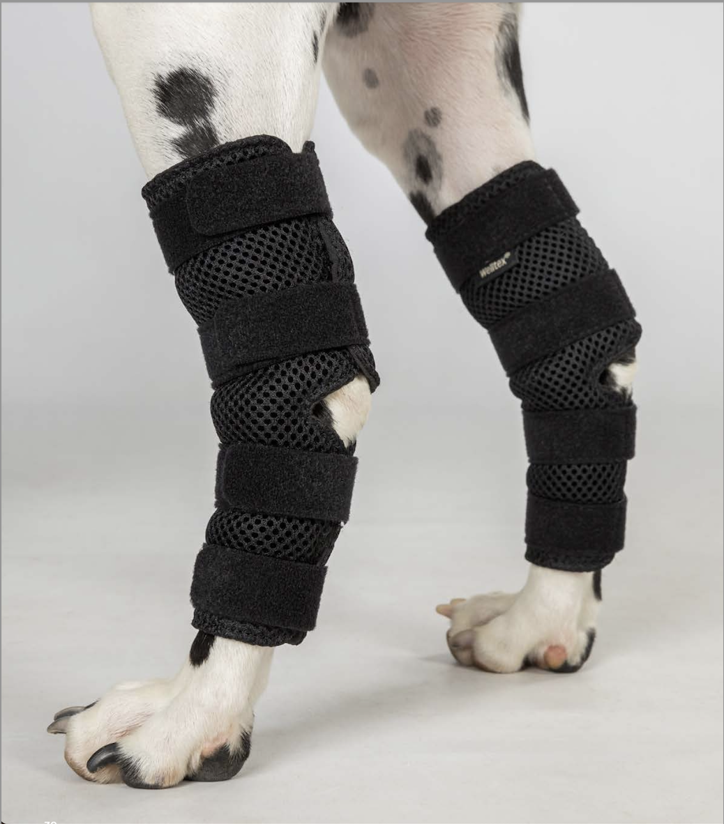 Back on Track Back on Track ochraniacze na staw skokowy dla psa Dixie 24h