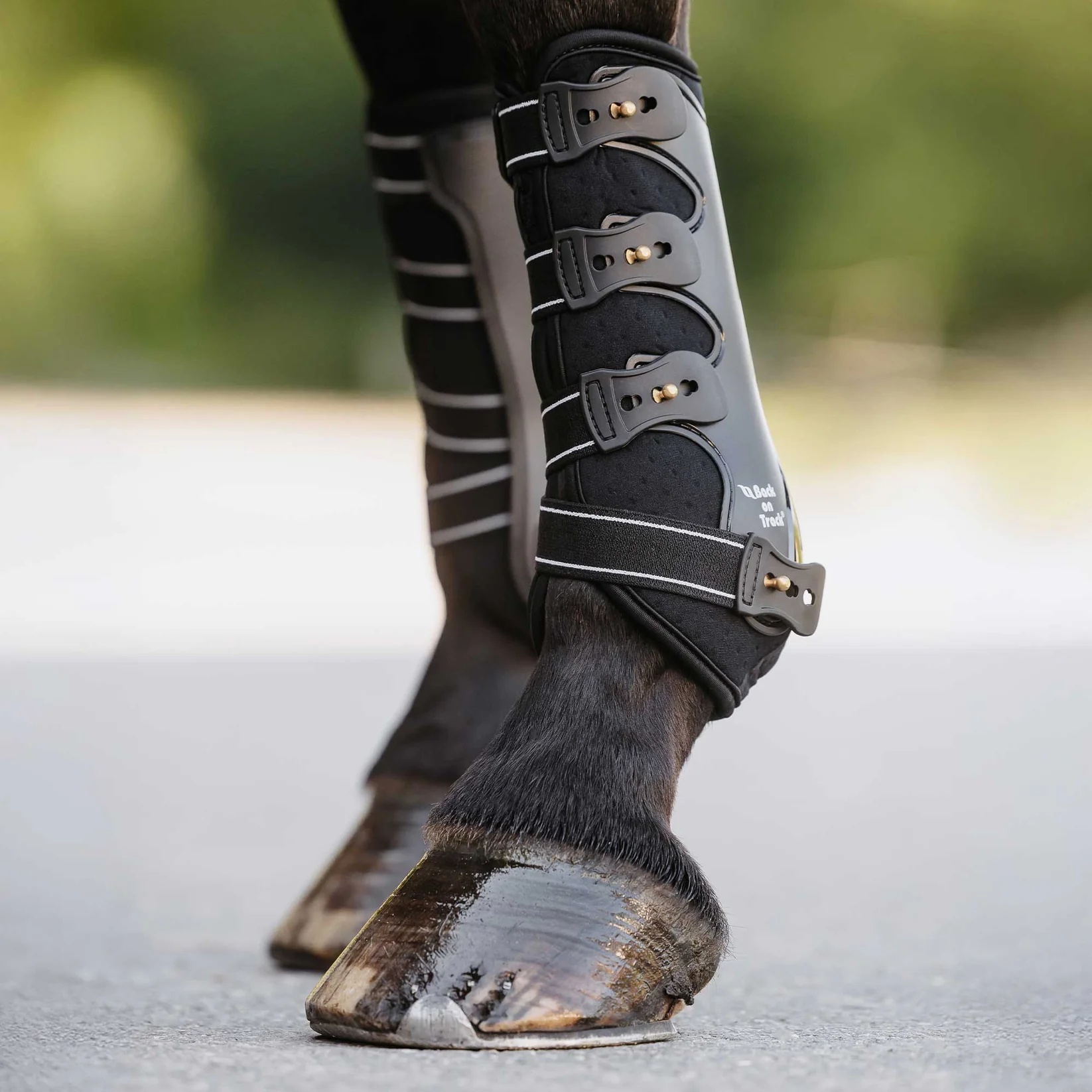 Back on Track Back on Track ochraniacze ujeżdżeniowe Royal przody