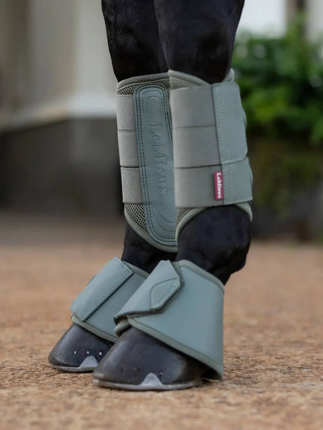 LeMieux LeMieux ochraniacze Arika Mesh Rosemary