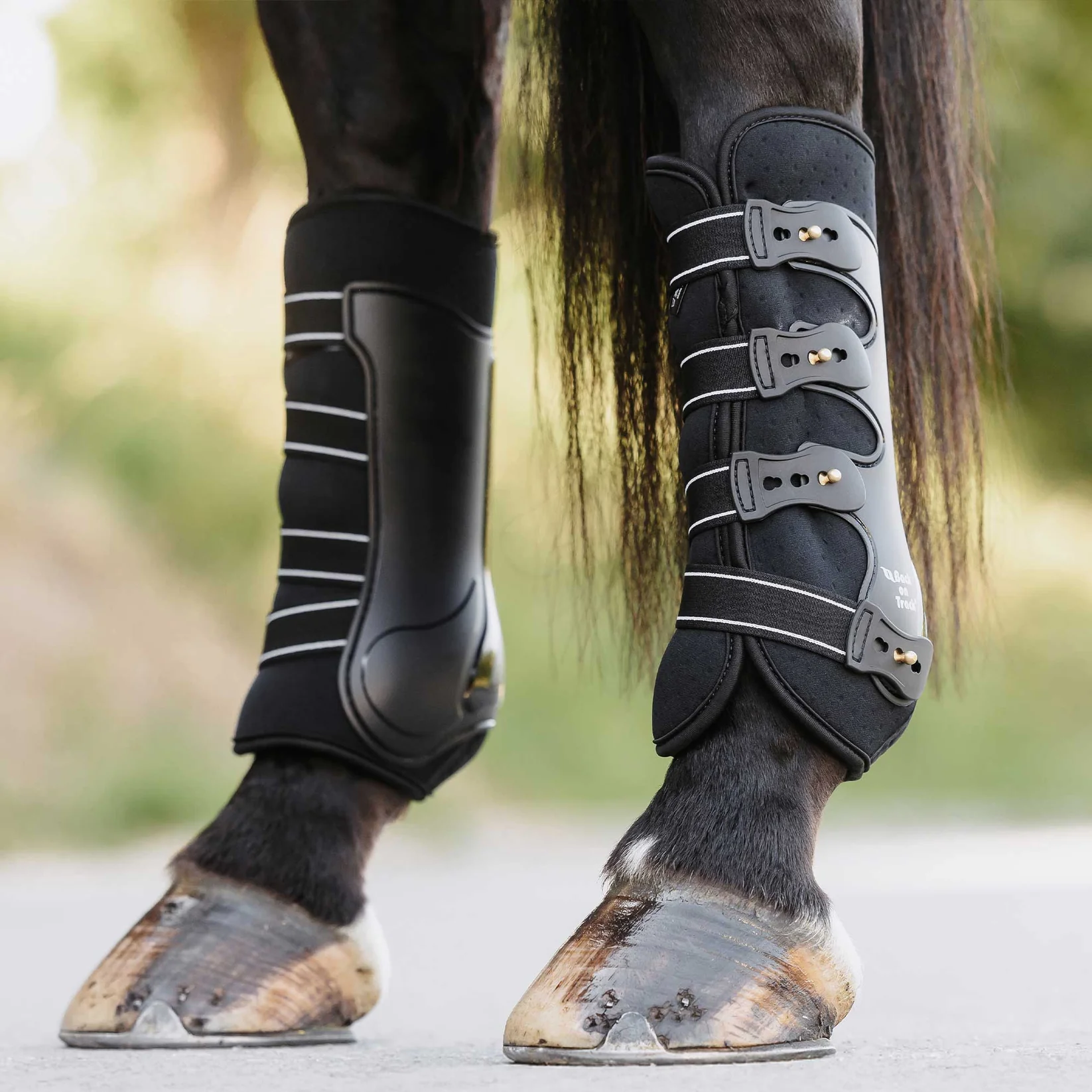 Back on Track Back on Track ochraniacze ujeżdżeniowe Royal tyły