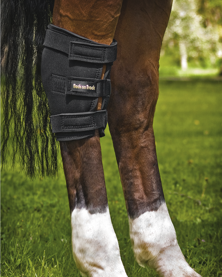 Back on Track Back on Track ochraniacz na staw skokowy 24h