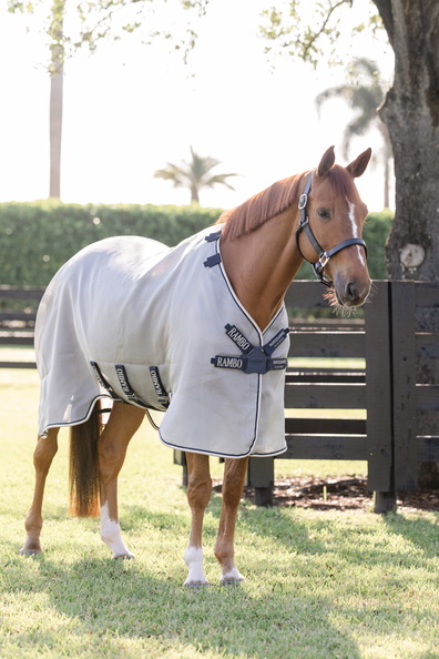 Horseware Horseware derka siatkowa Rambo Protector Fieldsafe z dyskiem 24h