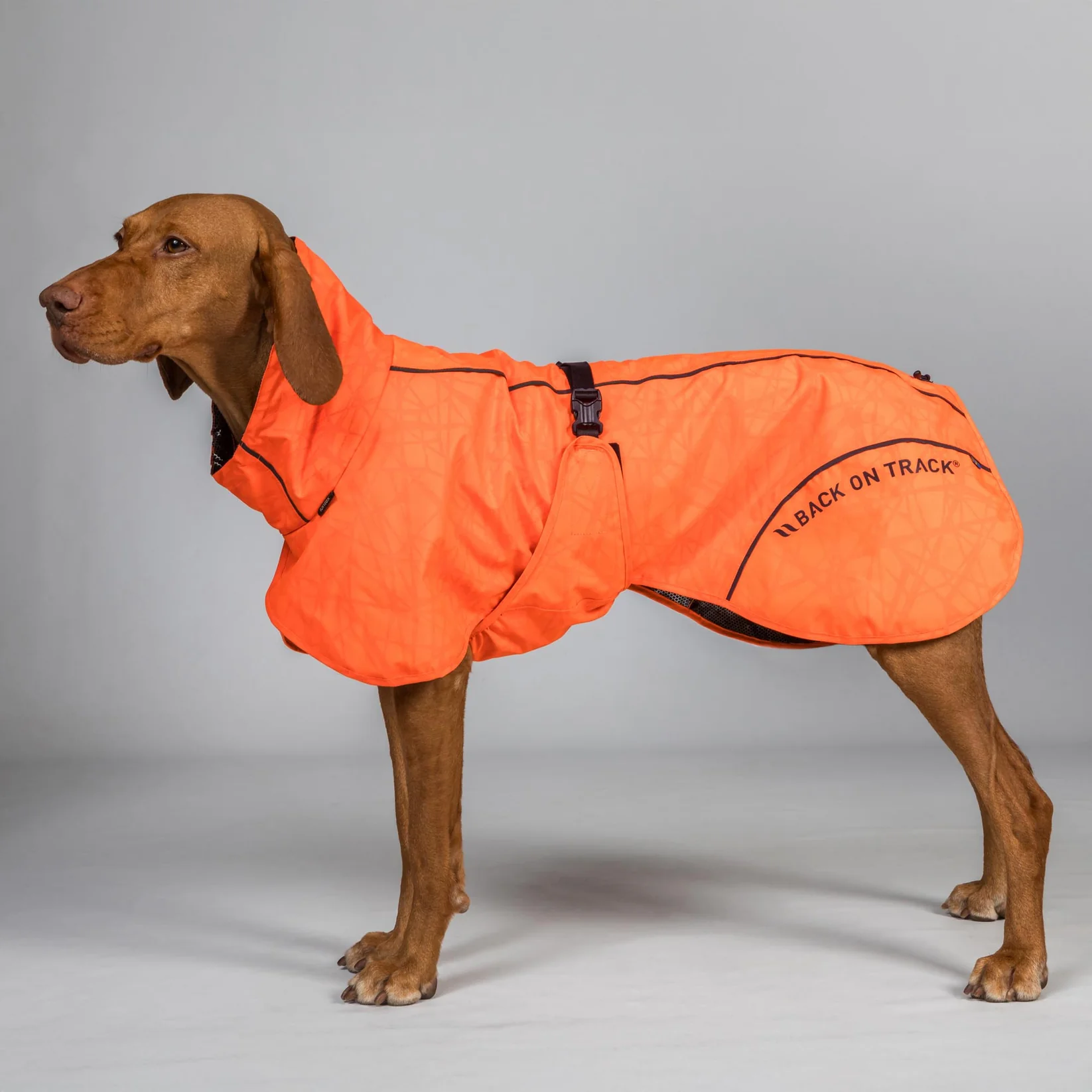 Back on Track Back on Track BAY Rain kurtka dla psa, krótki tył
