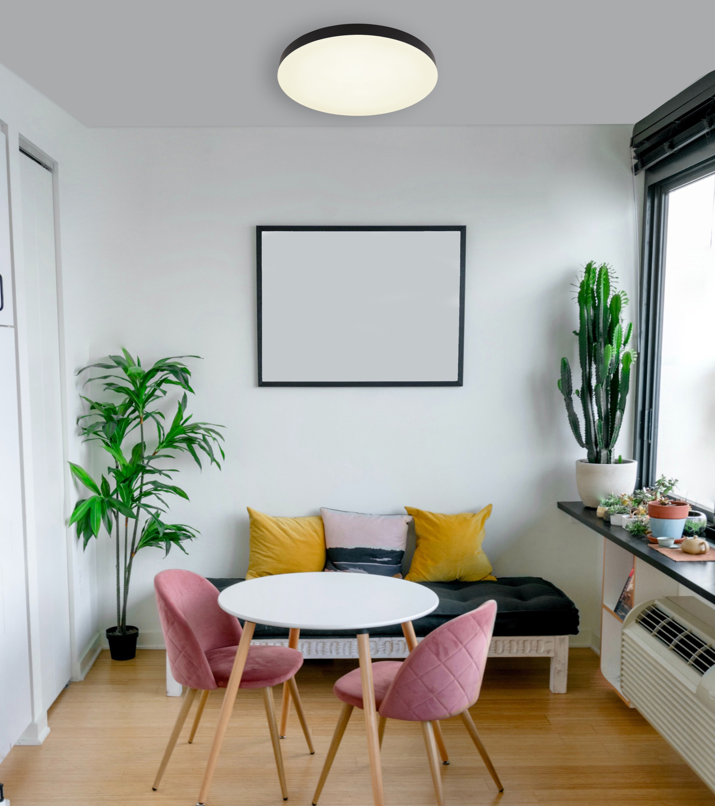 Globo Lighting Matthew plafon 1x50 W biały-czarny 12384-50