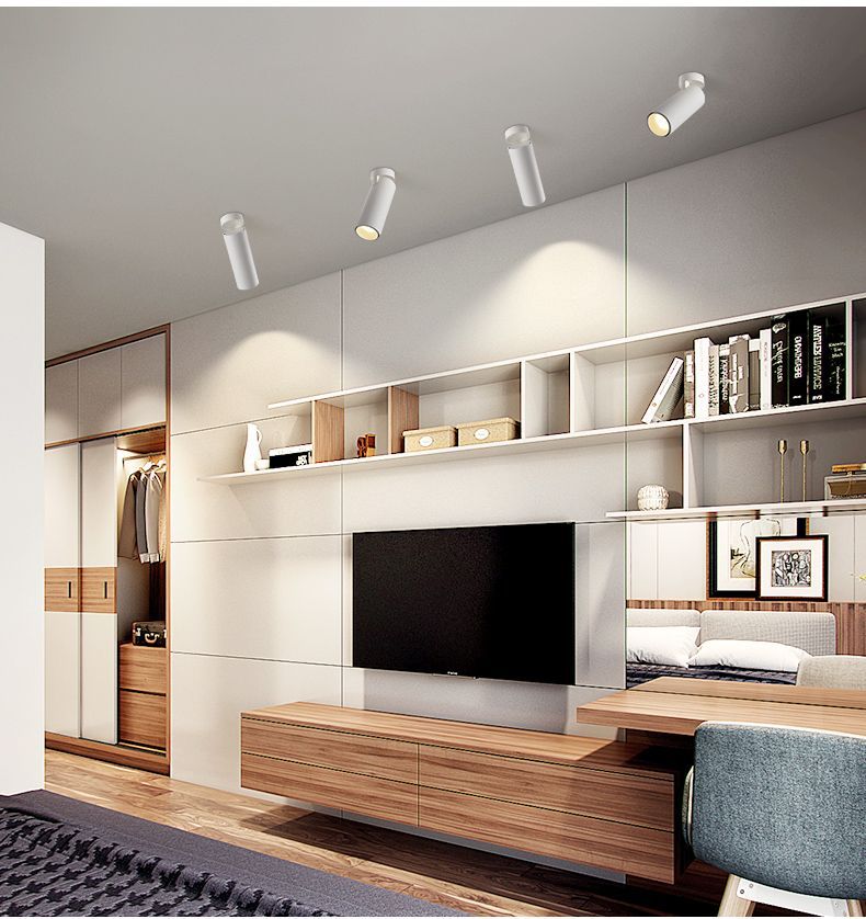 Abigali Posh lampa podsufitowa 1x12W LED biała LWQT-W-12-24WW-DIM