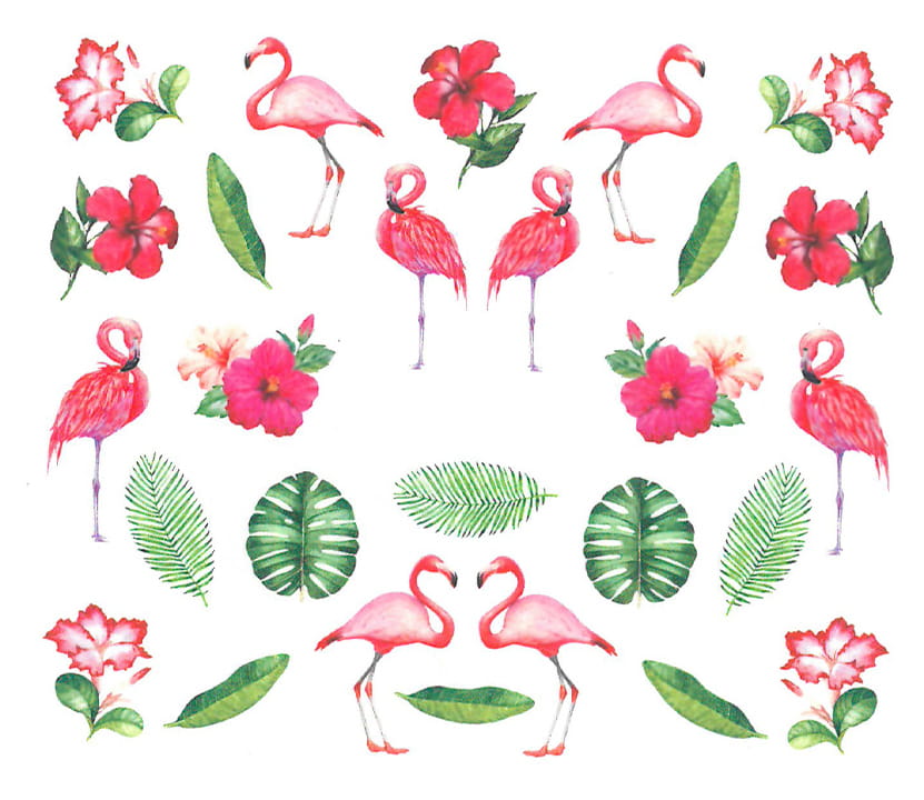 Naklejki wodne do paznokci flamingi BN-1298