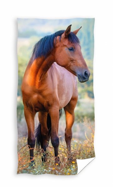Ręcznik młodzieżowy - Koń - rozmiar 30x50 wz. TNL204015-R
