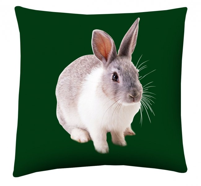 Poduszka z nadrukiem dwustronnym 40x40 wz. Zając