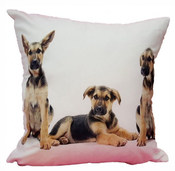 Foto Poszewka na poduszkę z mikrofibry 40x40 wz.30 Pieski