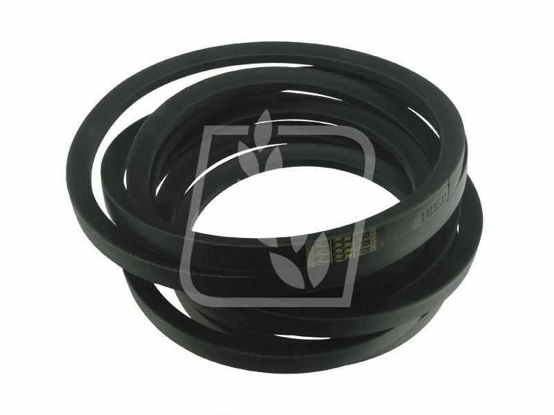 Pas 060304 22 x 6477