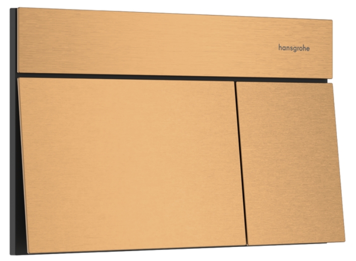 Darmowa Dostawa - Przycisk spłukujący do wc Hansgrohe Element E 66003140