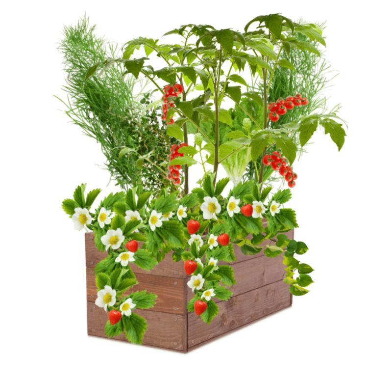 Grządka podwyższona MODO24 skrzynia na warzywa brązowa impregnacja 27x83x30 cm 1 szt.