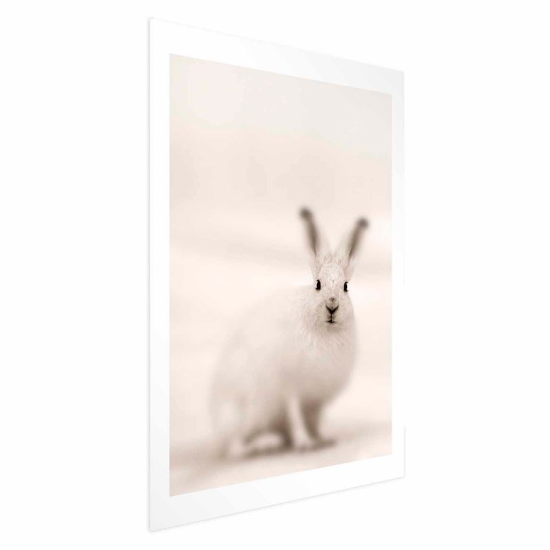 Plakat Artgeist Strachliwe spojrzenie 40x60 cm bez ramy 1 szt