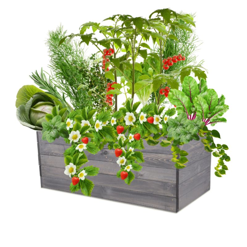 Donica na warzywa MODO24 grządka szara impregnacja 45x120x80 cm 1 szt.