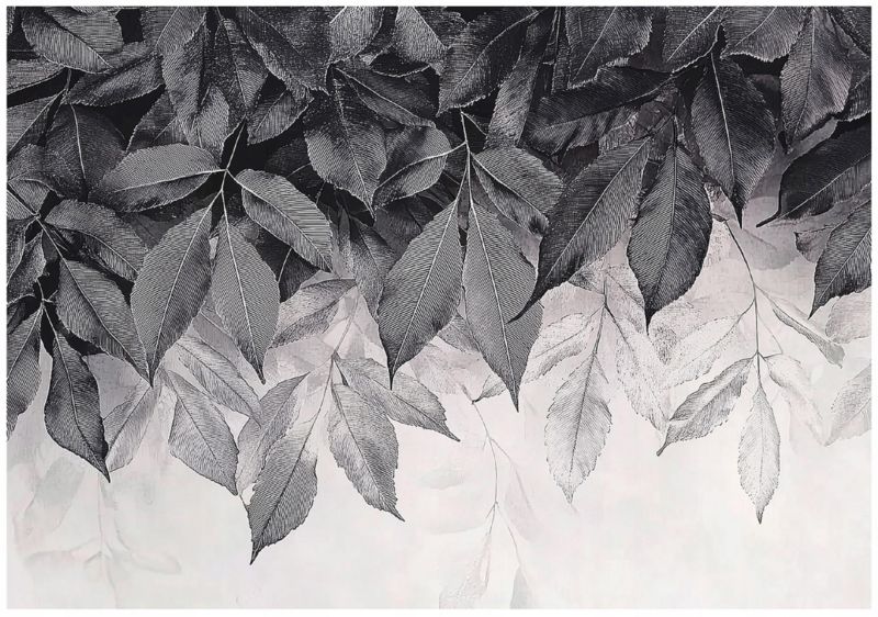 Fototapeta Liście Wiszące Szara Na Flizelinie WALLARENA 350x250 cm Tapeta Do Sypialni Salonu Kuchni 1 szt.