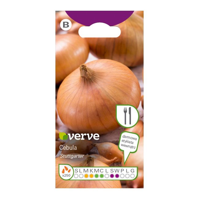 Nasiona cebula biała Stuttgarter Verve