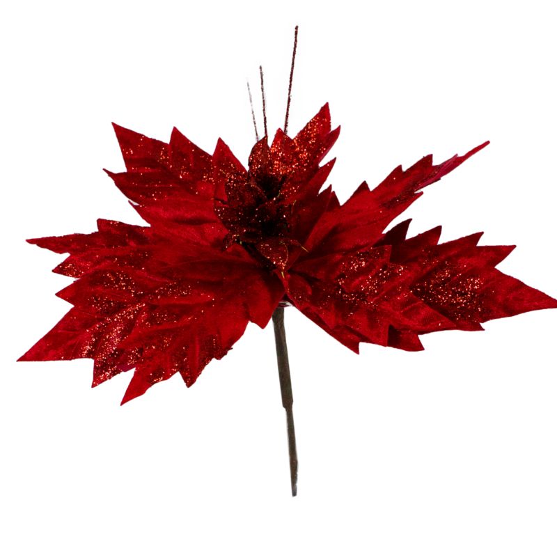 Poinsettia na piku MAG 2