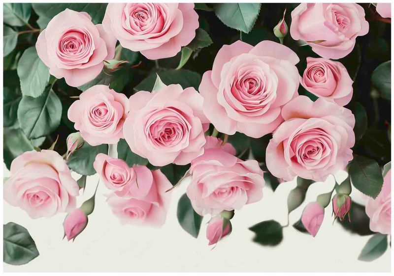 Fototapeta Kwiaty Wiszące Różowe Do Salonu Sypialni WALLARENA 250x175 cm Tapeta Na Flizelinie 1 szt.