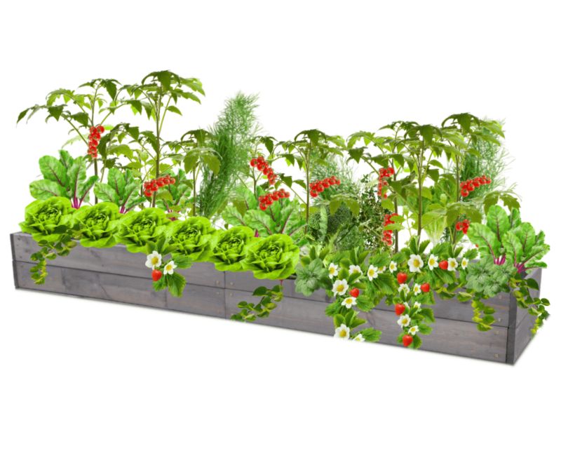 Warzywniak drewniany MODO24 grządka szara impregnacja 18x163x30 cm 1 szt.