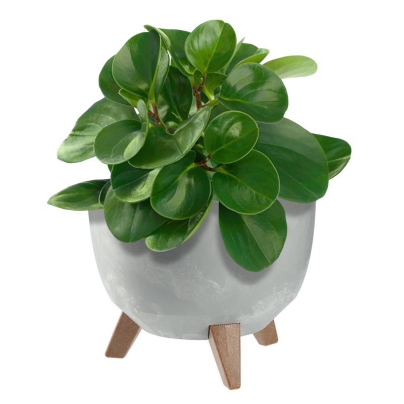 Doniczka KADAX Donica Na Kwiaty 24cm Osłonka + Wkład Nóżki Korek Kwietnik szary 1 szt.