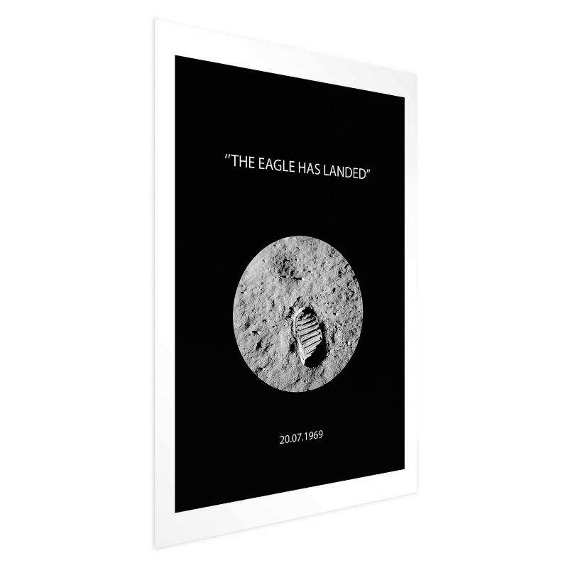 Plakat Artgeist The Eagle 40x60 cm bez ramy 1 szt