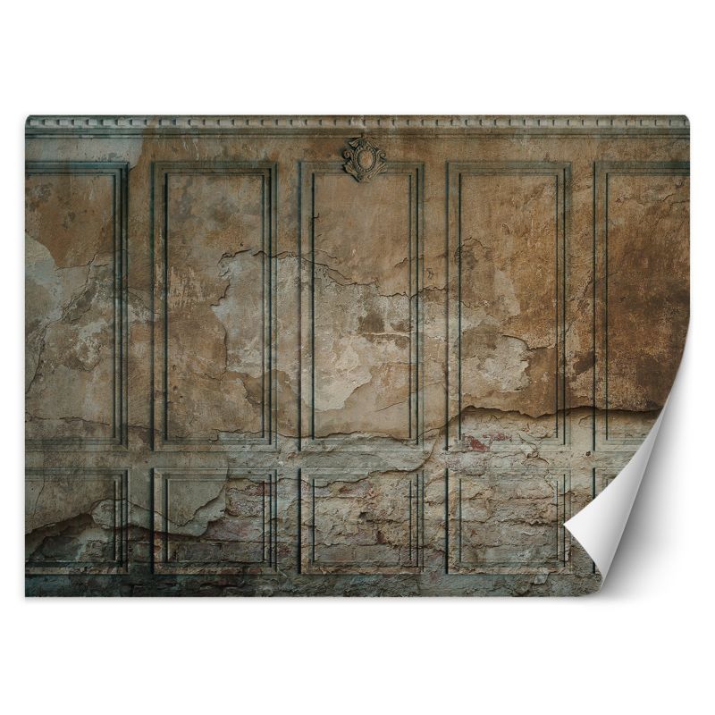 Fototapeta Feeby Ciemna Stara Ściana 350x245 1 szt