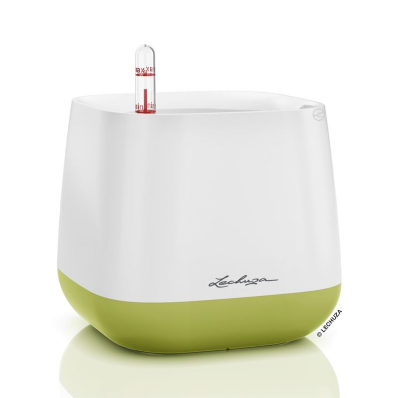 Doniczka Lechuza Do Domu Ogrodu YULA biało-limonkowa 1 szt