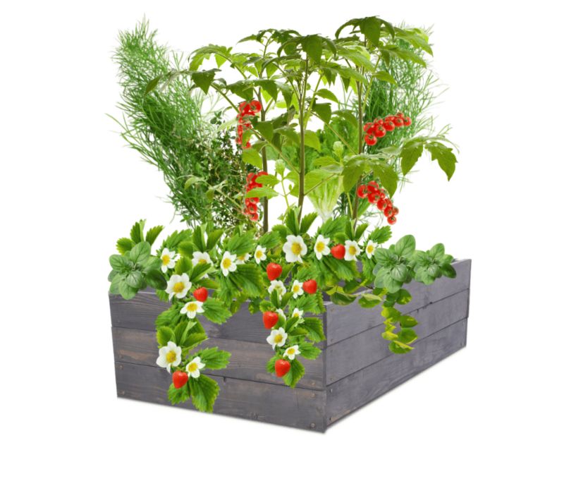 Donica na warzywa MODO24 grządka szara impregnacja 27x63x60 cm 1 szt.