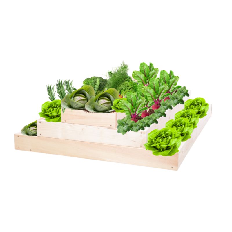 Skrzynia warzywna MODO24 regulowana inspekt 27x90x100 cm przezroczyste impregnowane drewno 1 szt