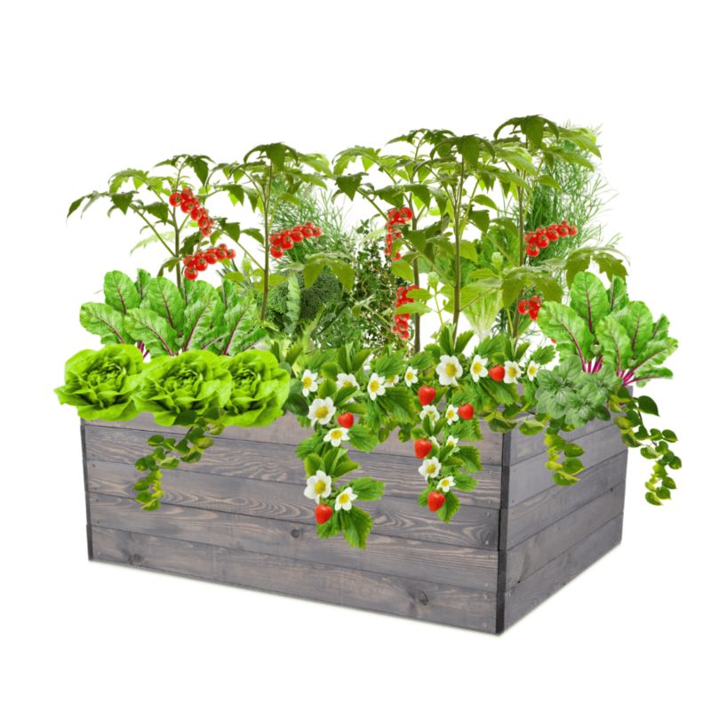 Grządka podwyższona MODO24 skrzynia na warzywa szara impregnacja 45x120x100 cm 1 szt.