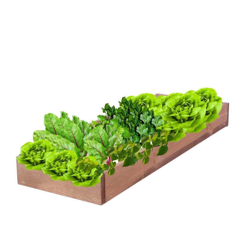 Skrzynia warzywna MODO24 regulowana donica 9x30x60 cm brązowe impregnowane drewno 1 szt