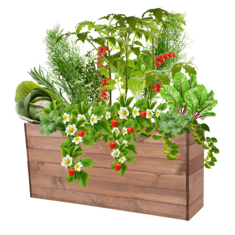 Grządka podwyższona MODO24 skrzynia brązowa impregnacja 54x120x30 cm 1 szt.