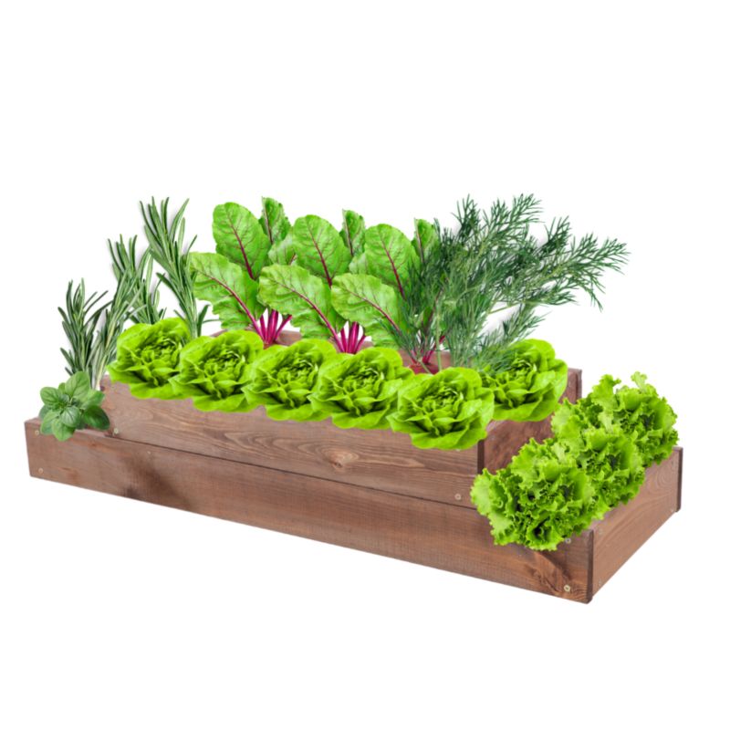 Skrzynia warzywna MODO24 regulowana inspekt 18x90x30 cm brązowe impregnowane drewno 1 szt