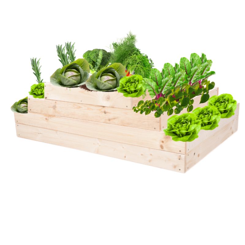 Skrzynia warzywna MODO24 regulowana inspekt 36x117x60 cm naturalne drewno 1 szt