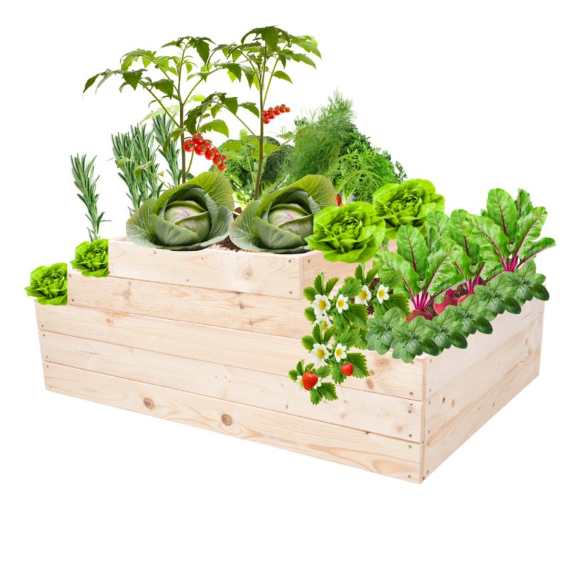 Skrzynia warzywna MODO24 kaskadowa 45x117x60 cm przezroczyste impregnowane drewno 1 szt