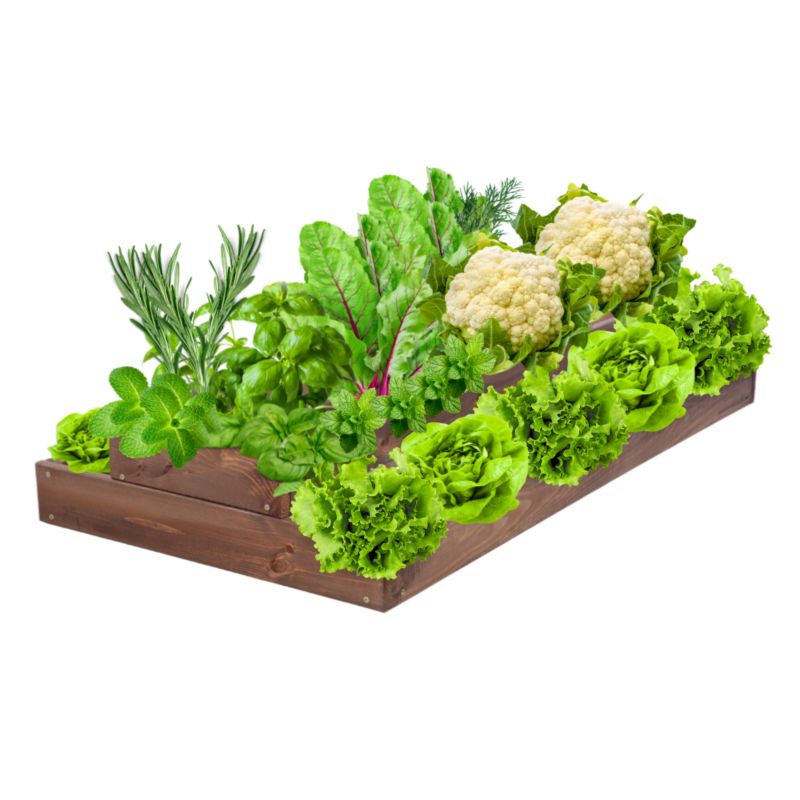 Skrzynia warzywna MODO24 regulowana inspekt 18x60x120 cm brązowe impregnowane drewno 1 szt