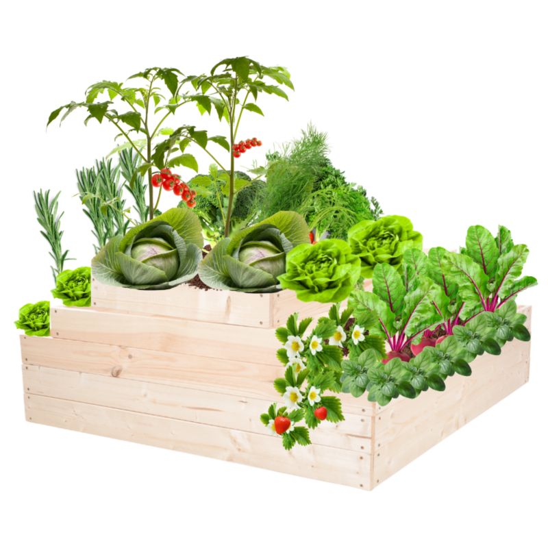 Skrzynia warzywna MODO24 regulowana inspekt 45x117x100 cm przezroczyste impregnowane drewno 1 szt